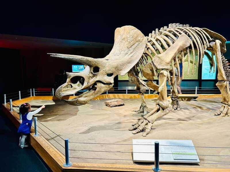 Drumheller Full-day Private Sightseeing Tour - Final Thoughts: Is It Worth It?