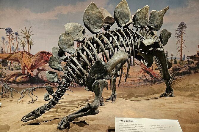 Drumheller, Royal Tyrrell Museum, Hoodoos & Coal Mine Adventure - The Sum Up
