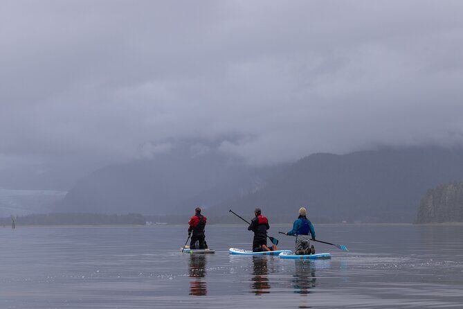Dry-Suit Paddle board in Juneau with Mendenhall Glacier Views - The Sum Up: Is This Tour Worth Your Time?