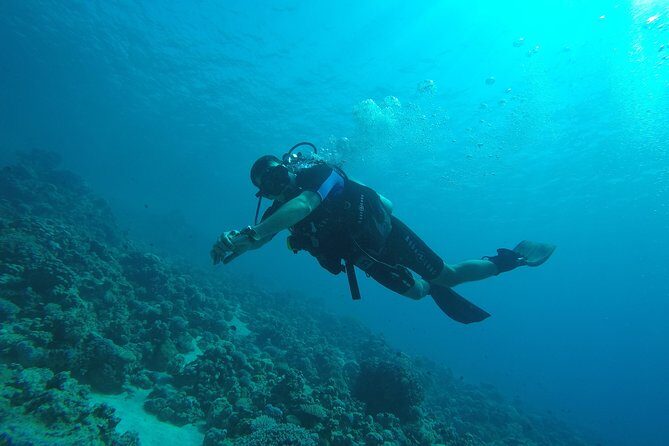 DSD "Discover Scuba Diving" (Min Age 10 Years) - Final Thoughts