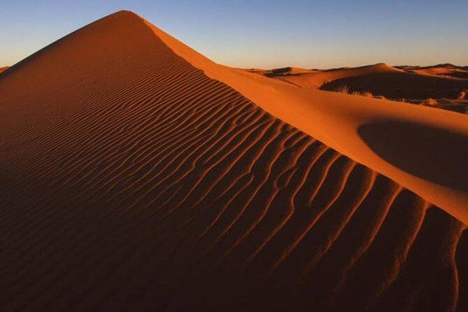 Dubai 4x4 Premium Oasis Camp Desert Safari 5*BBQ Dinner CamelRide - Is It Worth The Price?