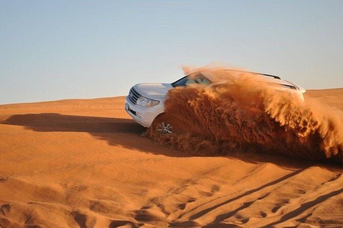 Dubai: Adventure Evening Desert Safari, Camel Ride, Shows & BBQ Dinner - What Makes This Tour Stand Out?