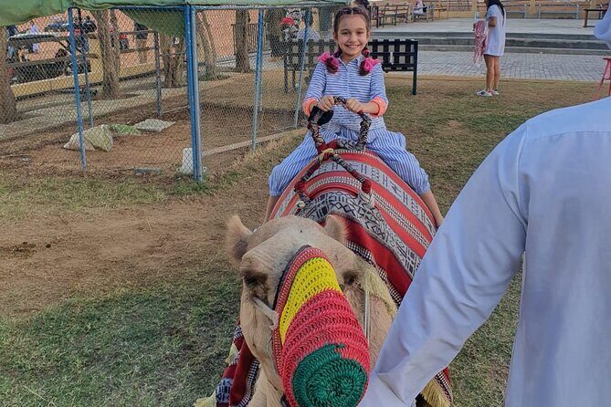 Dubai: All Inclusive Desert Safari with ATV, Camel, Horse ride, Vip & more - Final Thoughts: Who Is This Tour For?