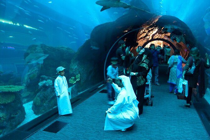 Dubai Aquarium and Underwater Zoo - The Sum Up