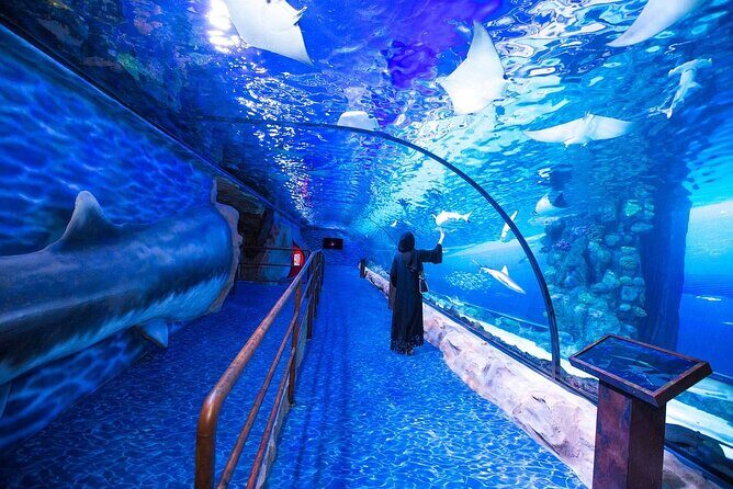 Dubai Aquarium and Underwater Zoo Admission Ticket with Options - What’s Included in the Ticket?