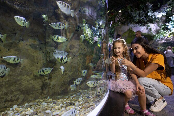 Dubai Aquarium and Underwater Zoo Entrance Ticket - A Closer Look at the Itinerary