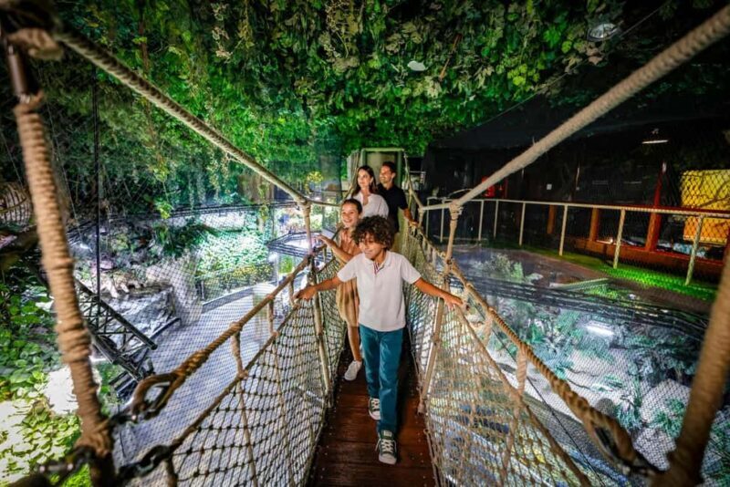 Dubai: Aquarium and Underwater Zoo Experience - A Closer Look at the Dubai Aquarium and Underwater Zoo