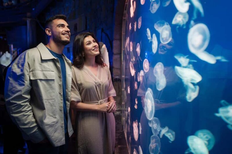 Dubai: Aquarium and Underwater Zoo Experience - Final Thoughts and Practical Advice
