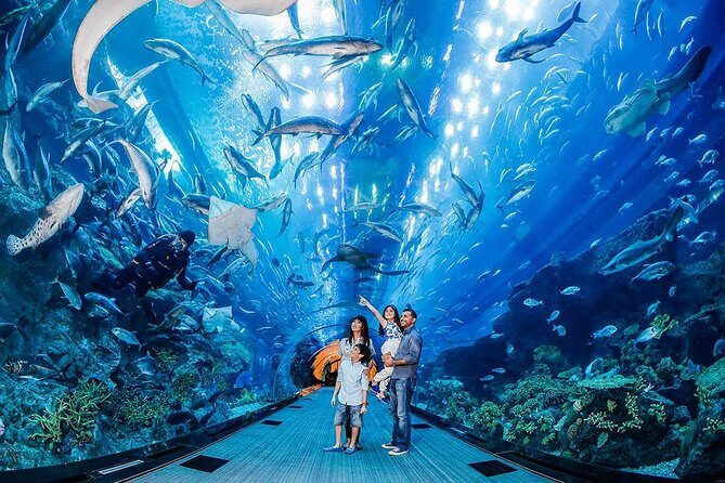 Dubai Aquarium & Level 124 Burj Khalifa Combo - The Itinerary: What to Expect at Each Stop