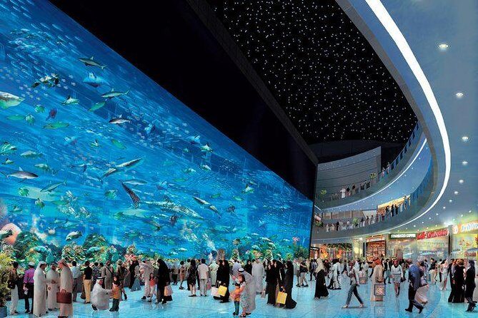 Dubai Aquarium & Level 124 Burj Khalifa Combo - Final Thoughts: Is It Worth It?