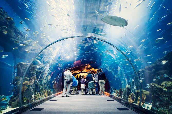 Dubai Aquarium + Penguin Cove Tickets with Transfers - Key Points