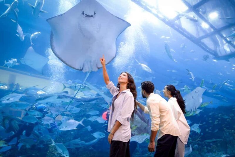 Dubai Aquarium + Sky Views Observatory Tickets - A Closer Look at the Tour Itinerary