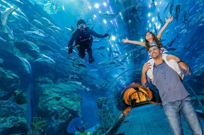 Dubai Aquarium & Underwater Zoo - Basic - The Experience in Detail