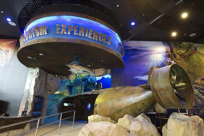 Dubai Aquarium & Underwater Zoo - A Deep Dive into the Dubai Aquarium & Underwater Zoo Experience