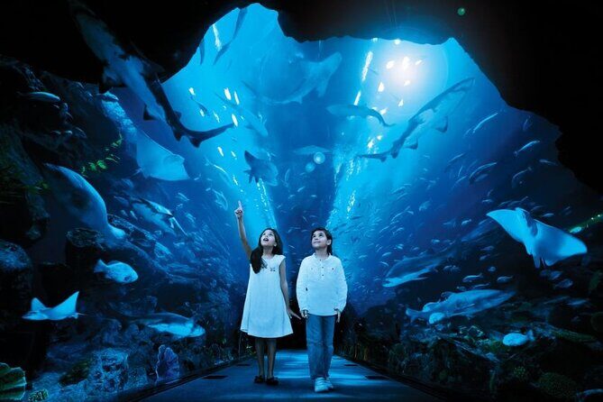 Dubai Aquarium & Underwater Zoo - The Sum Up
