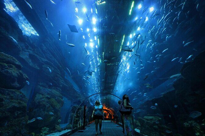 Dubai Aquarium & Underwater Zoo Entrance Ticket - Introduction: A Closer Look at Dubai Aquarium & Underwater Zoo