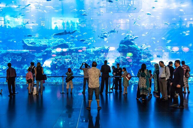 Dubai Aquarium & Underwater Zoo Entrance Ticket - Key Points