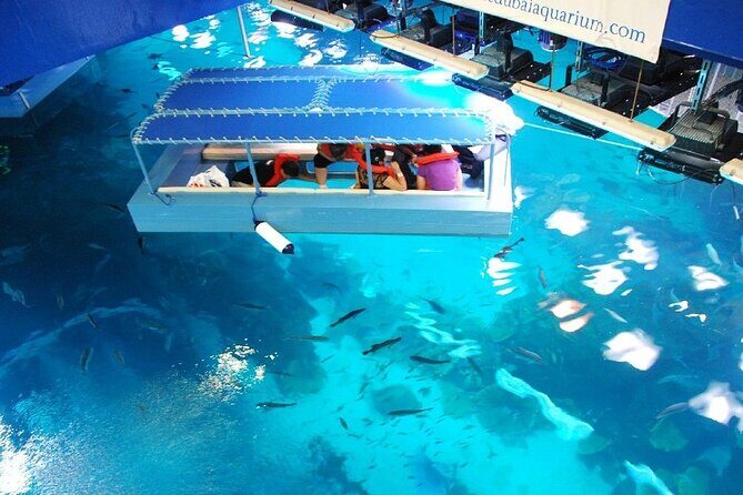 Dubai Aquarium & Underwater Zoo with Penguin Cove - Why This Tour Works for Travelers