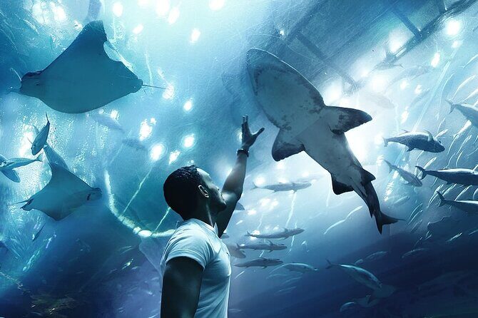 Dubai Aquarium UnderwaterZoo and Penguin cove Admission Ticket - Overview of the Tour Experience