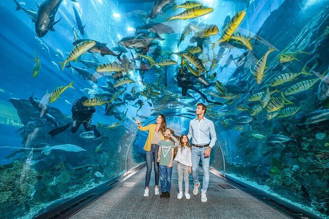 Dubai Aquarium UnderwaterZoo and Penguin cove Admission Ticket - Price and Value Analysis