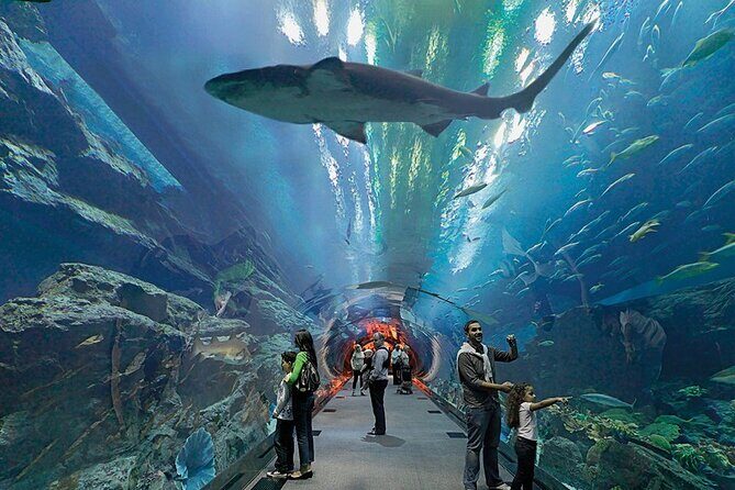 Dubai Aquarium UnderwaterZoo and Penguin cove Admission Ticket - Practical Tips for Visiting