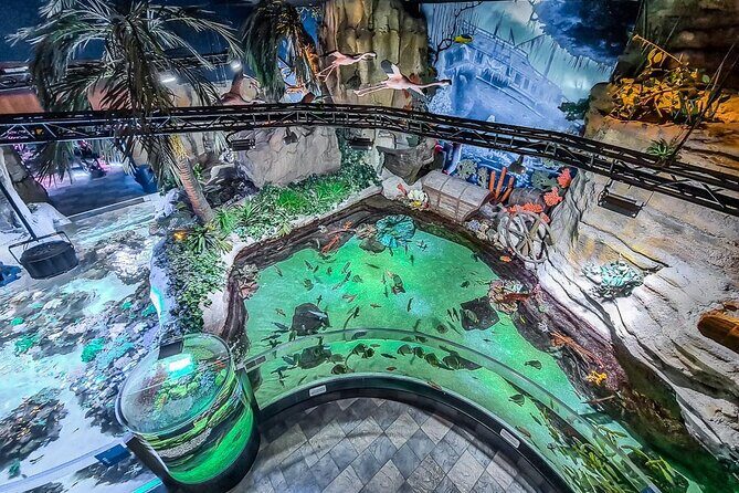 Dubai Aquarium UnderwaterZoo and Penguin cove Admission Ticket - Authentic Perspectives from Visitors