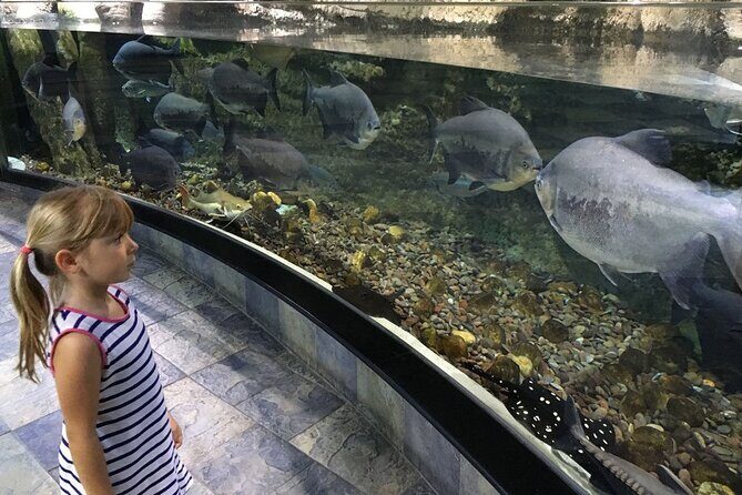 Dubai Aquarium UnderwaterZoo and Penguin cove Admission Ticket - Final Thoughts