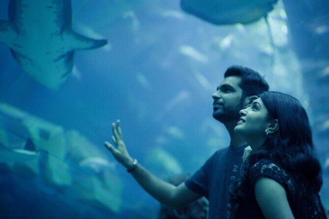 Dubai Aquarium with Various Animal Encounter and Access Options - Frequently Asked Questions (FAQs)