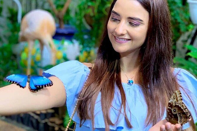 Dubai Butterfly Garden Admission Ticket - Key Points