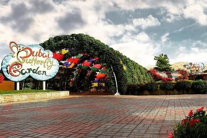 Dubai Butterfly Garden (Escape into nature) - A Visitor’s Guide to the Dubai Butterfly Garden