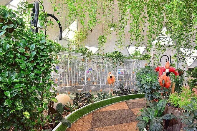 Dubai Butterfly Garden (Escape into nature) - Authentic Experiences & Traveler Feedback