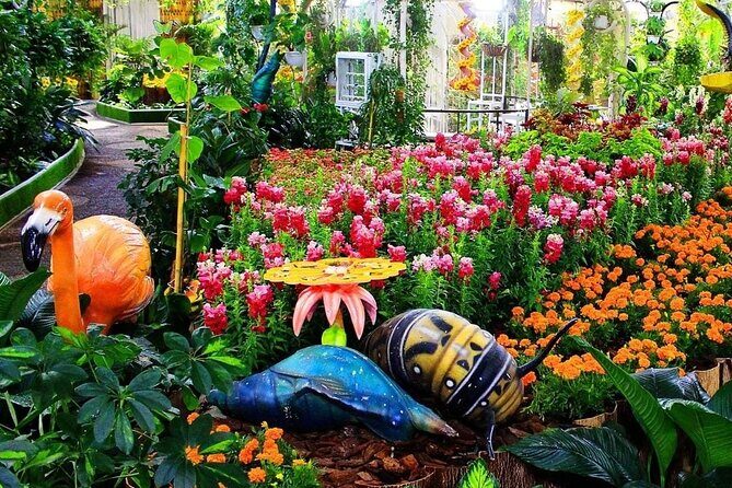 Dubai Butterfly Garden (Escape into nature) - Final Thoughts: Who Should Visit?