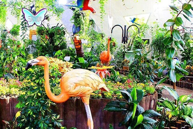 Dubai Butterfly Garden (Escape into nature) - In The Sum Up