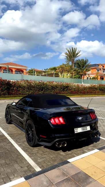 DUBAI: CABRIO MUSTANG TOUR. LUXURY - The Sum Up