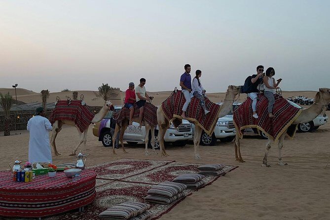 Dubai Camel Caravan with BBQ Dinner Buffet - An In-Depth Look at the Camel Caravan Experience