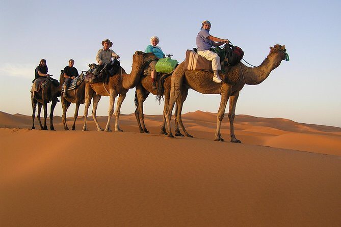 Dubai Camel Caravan with BBQ Dinner Buffet - Authenticity, Safety, and Reviews