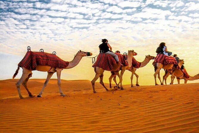 Dubai Camel Caravan with BBQ Dinner Buffet - The Sum Up