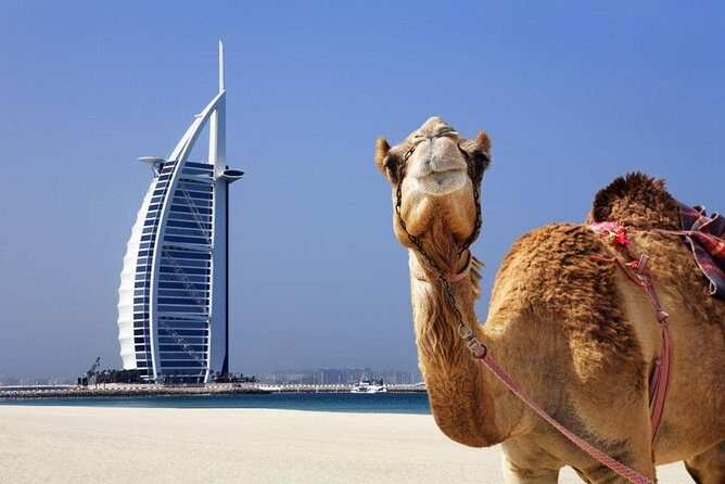 Dubai City Tour : Half Day - Final Thoughts: Is This Tour Right for You?