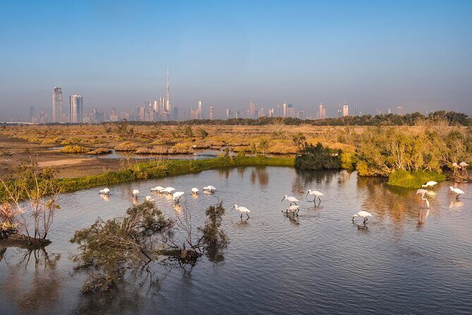 Dubai City Tour with Burj Khalifa - An Overview of Why You’ll Love This Tour