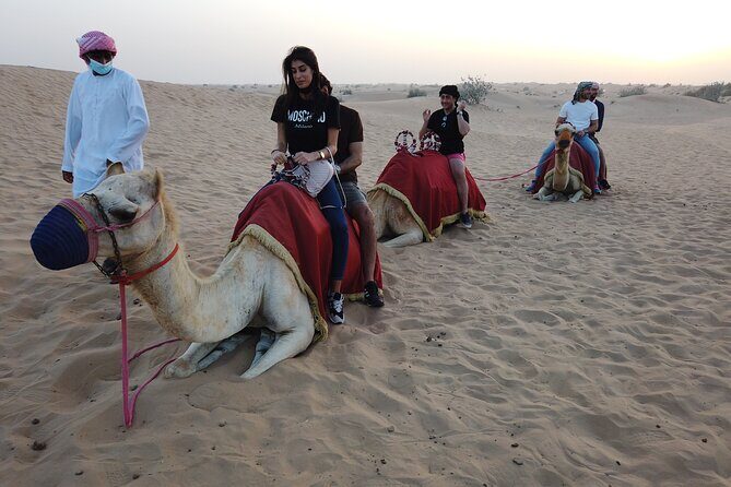 Dubai City Tour with Desert Safari - Analyzing the Experience: What You Need to Know