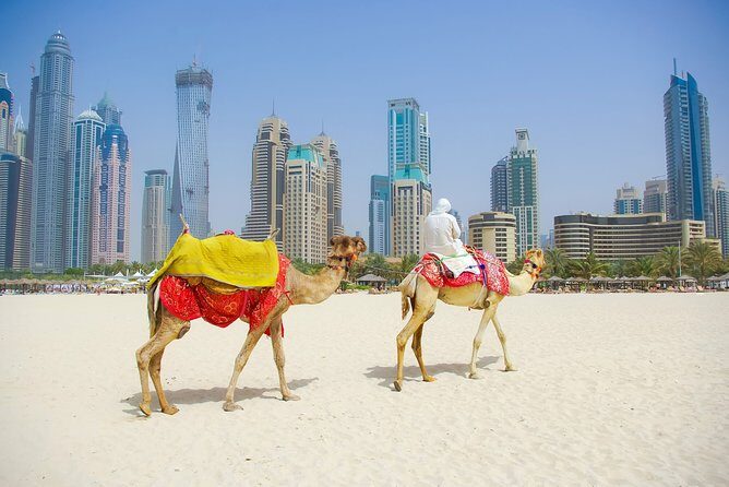 Dubai City Tour with Desert Safari & BBQ Dinner - What Travelers Say: Authentic Experiences and Minor Drawbacks