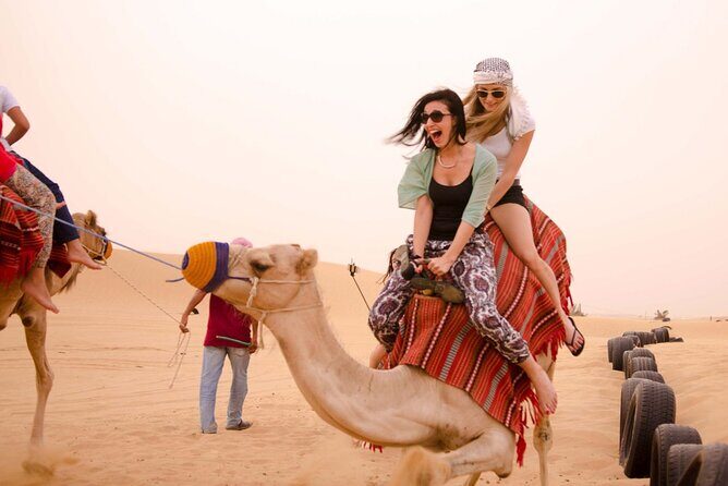 Dubai City Tour with Desert Safari & BBQ Dinner - Transportation and Logistics