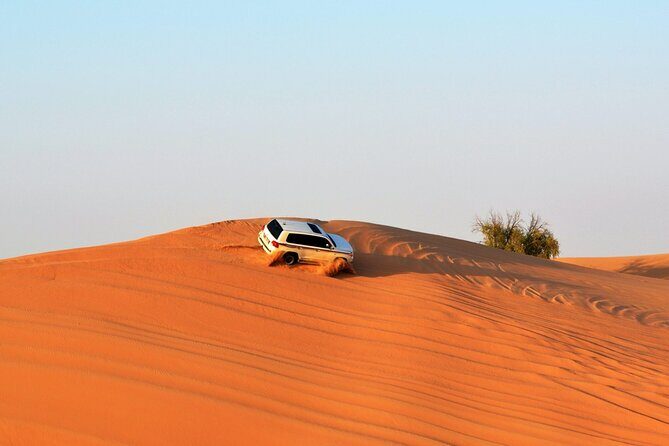 Dubai City Tour with Desert Safari, Camel Ride, Dune Bashing & BBQ - Authentic and Fun Experiences