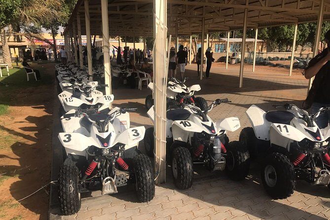 Dubai City Tour with Evening Desert Safari and BBQ Dinner-Combo - Who Should Consider This Tour?