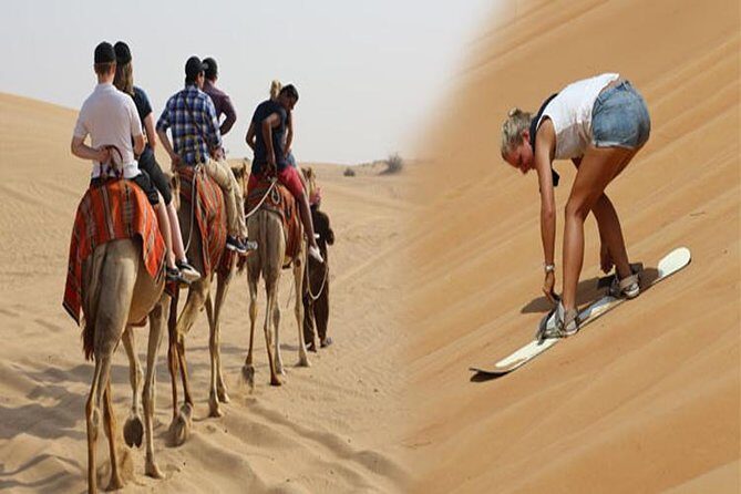 Dubai Desert 4x4 Safari with Camp activities & BBQ Dinner - Who Is This Tour Best For?
