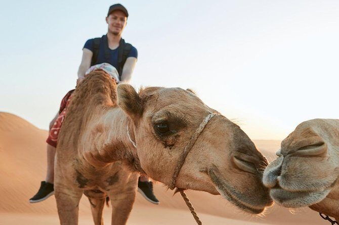 Dubai Desert Adventure: Red Dunes Guided Quad/Polaris ATV & BBQ - Traditional Bedouin Camp: Culture & Entertainment