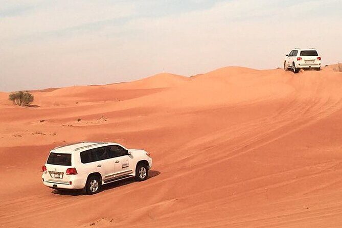 Dubai Desert Afternoon Safari with Camel Ride, BBQ Dinner, and Belly Dancing - Starting the Journey: A Well-Paced Itinerary