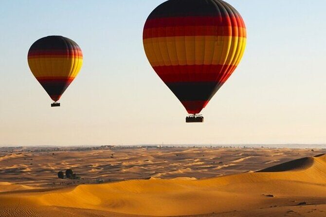 Dubai Desert By Hot Air Balloon With Falcon Show and Camel - Practical Details: What You Need to Know