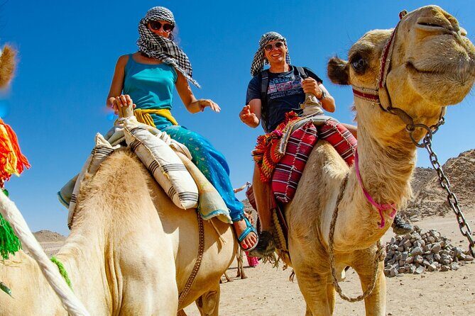 Dubai Desert Escape: Red Dunes Safari, Falcon, Camel & BBQ Dinner - Exploring the Dubai Desert Safari Experience