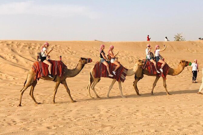 Dubai Desert Safari 4x4 Dune Bashing with Camel Riding - A Practical Look at the Tour